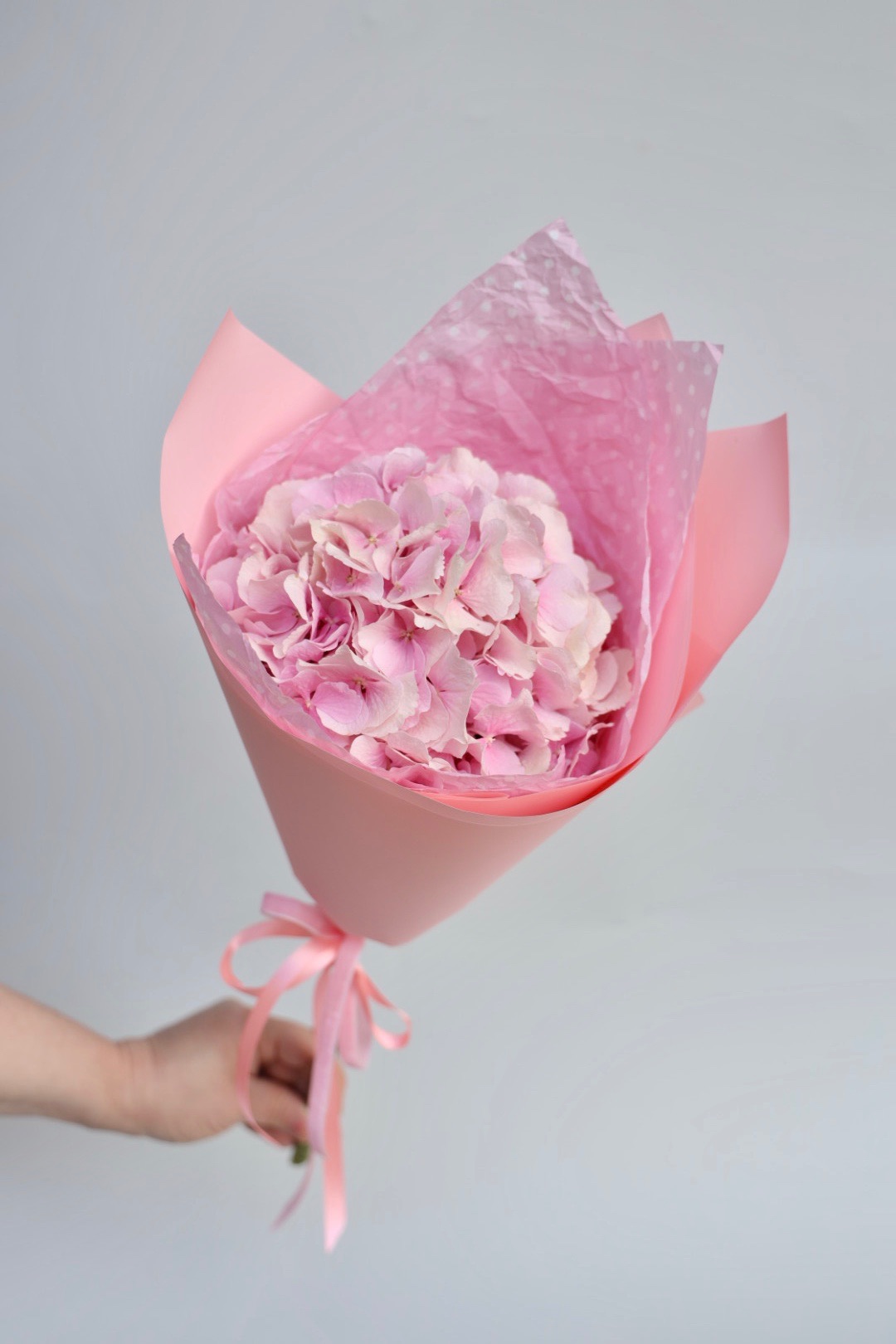 Купить букет / цветы Гортензия  в Москве с доставкой по отличной цене