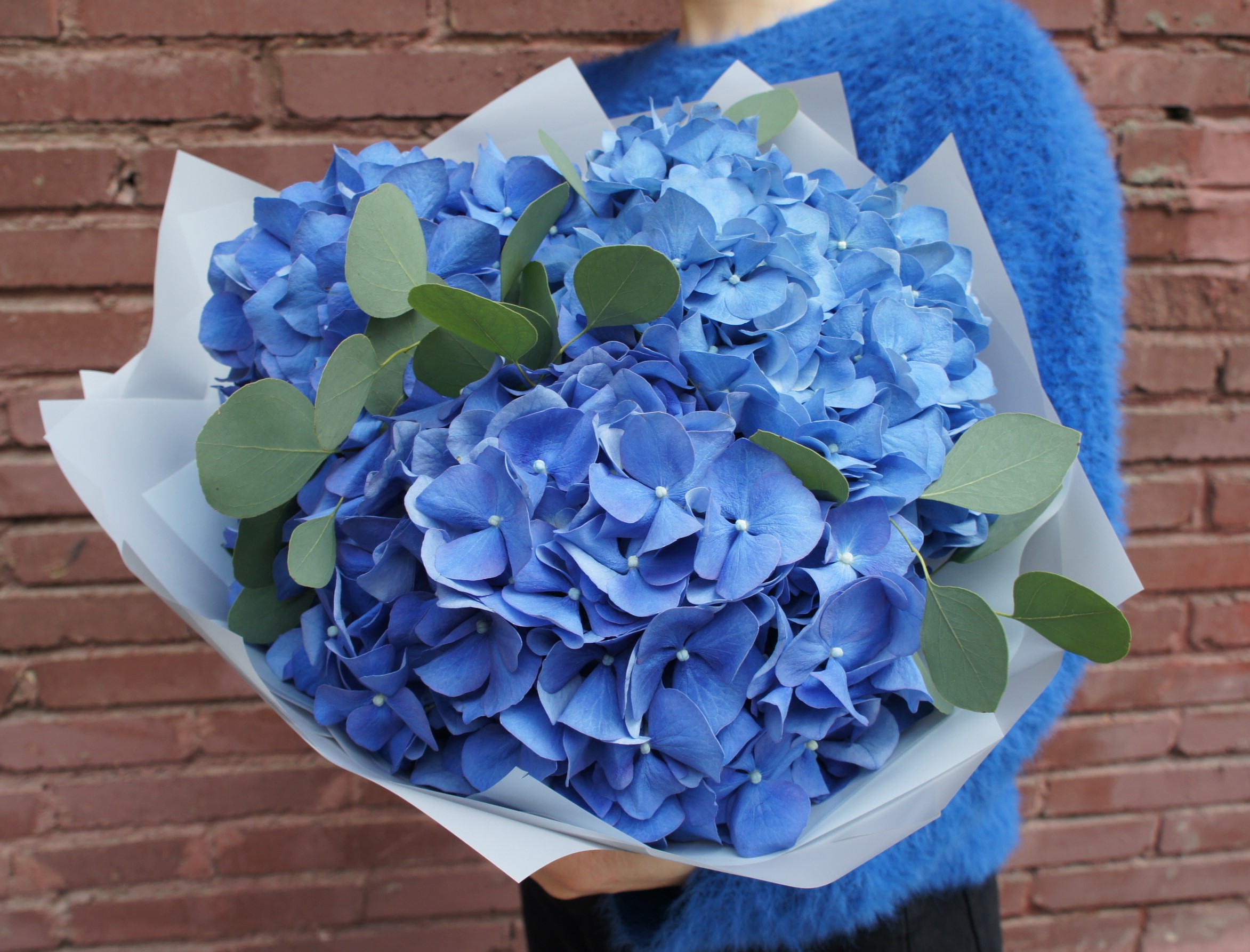 Купить букет / цветы Гортензия 3 в Москве с доставкой по отличной цене