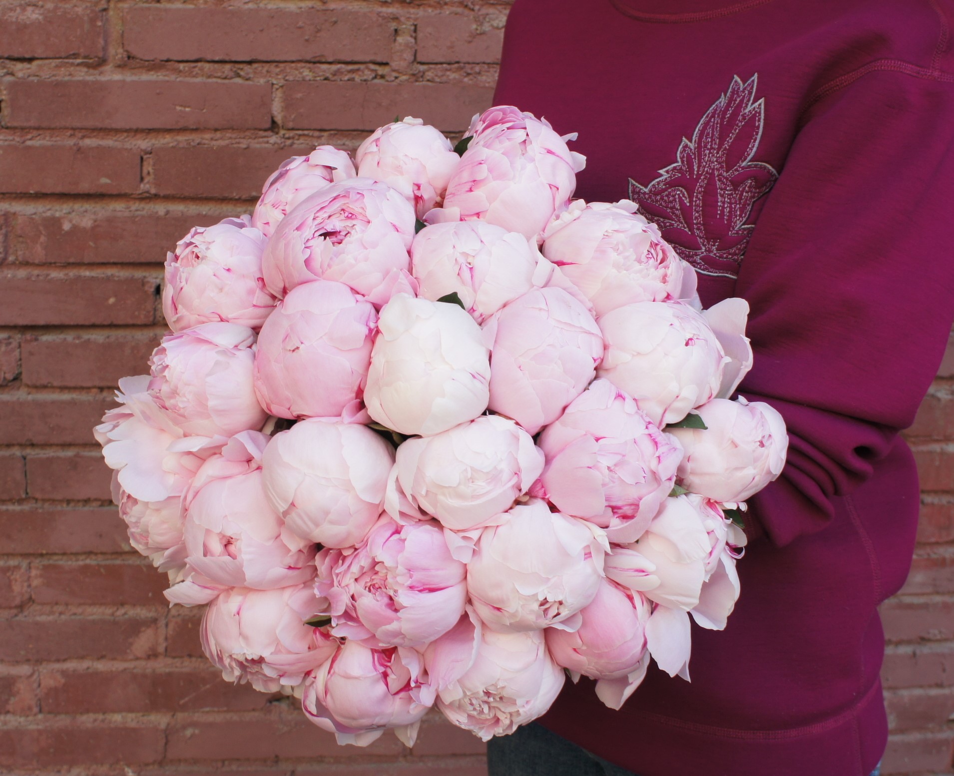 Купить букет / цветы Пионы 25 в Москве с доставкой по отличной цене