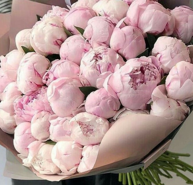 Купить букет / цветы Пион 1 в Москве с доставкой по отличной цене