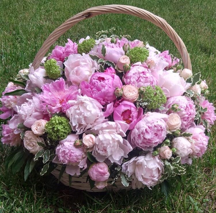 Купить букет / цветы Вельга в Москве с доставкой по отличной цене